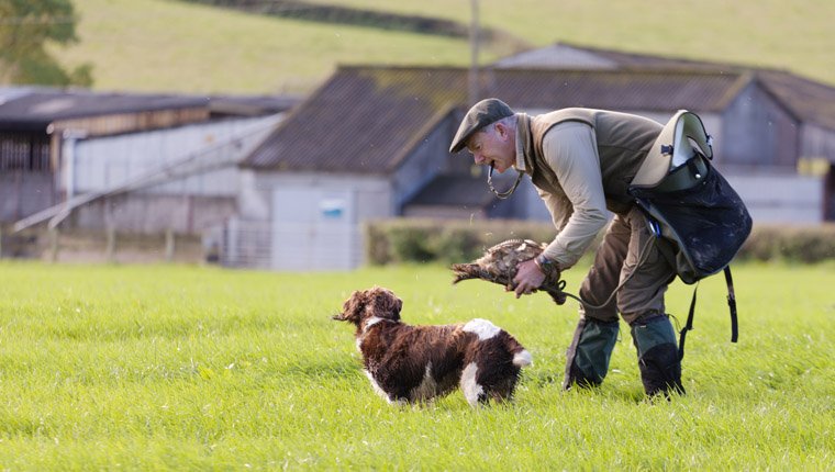 farmer with dog and chicken