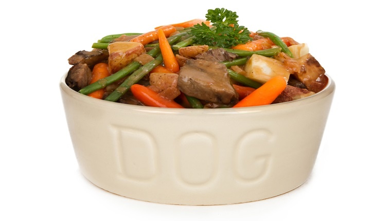 Heaping bowl of fresh homemade dog food - Beef stew with carrots and green beans