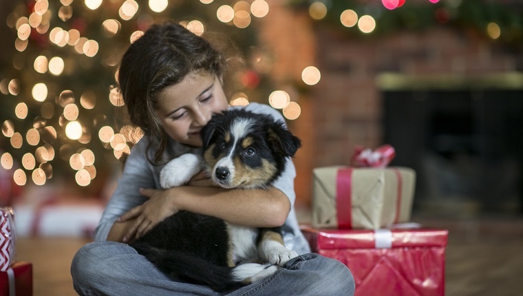 A young kid has their new puppy in their lap and is giving the dog a kiss. There are wrapped presents beside them. There is a Christmas tree in the background.