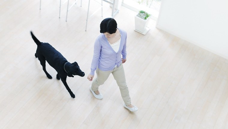 Young Woman And Dog Walking In The House