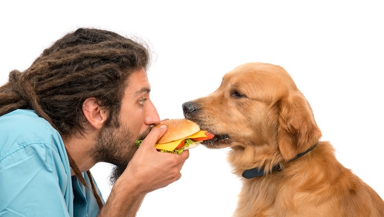 owner and his dog is eating a burger