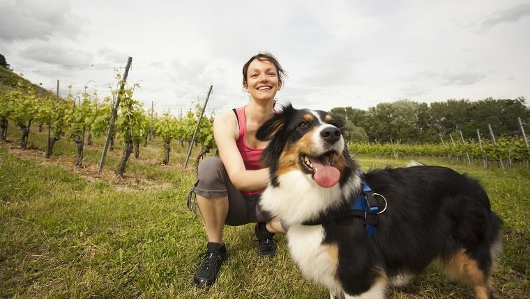 Caucasian woman petting dog in vineyard