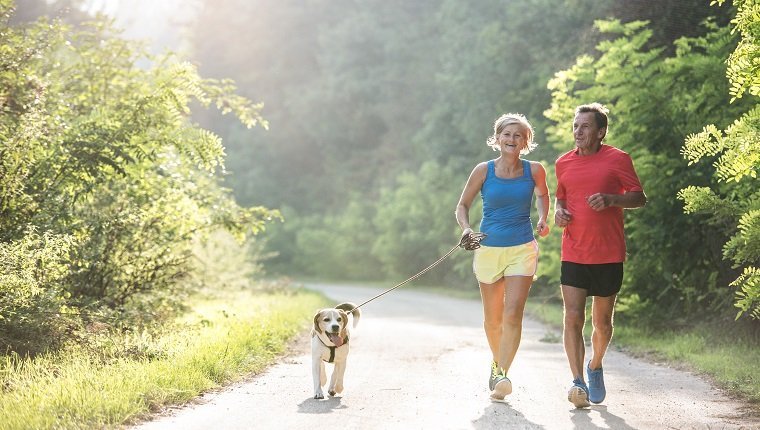 Active senior couple with dog running outside in green sunny nature