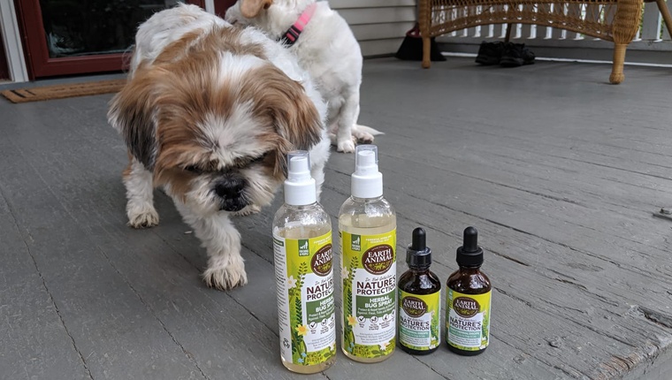 dog with Nature's Protection Herbal Bug Spray