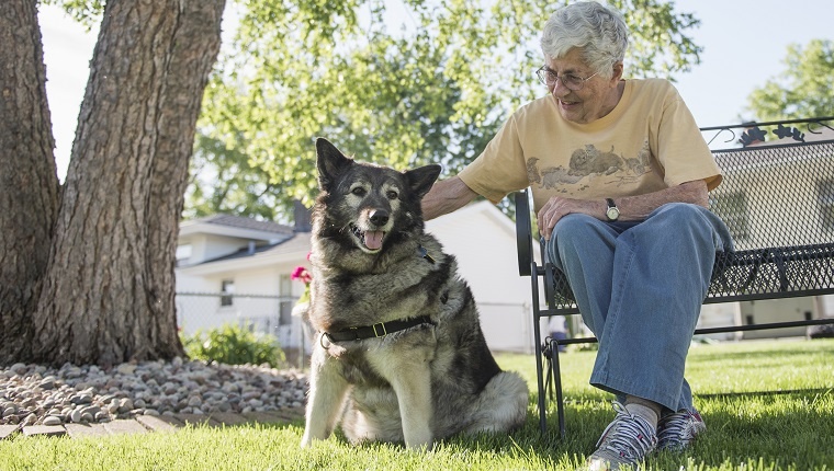 Senior Woman Sitting on Bench in Backyard with her Norwegian Elkhound Dog