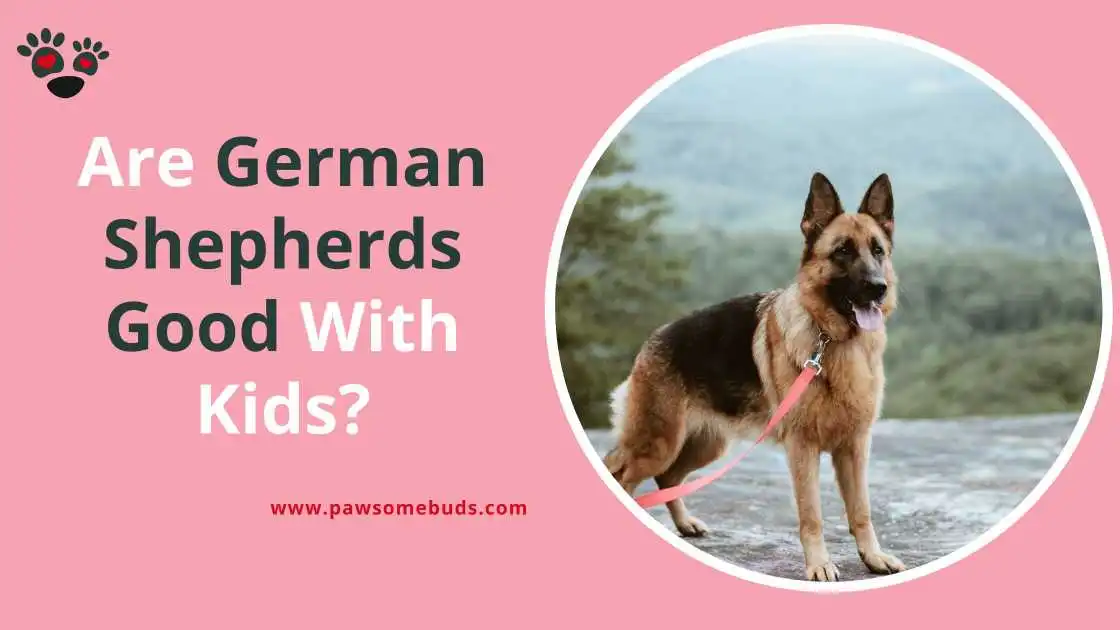 Are German Shepherds Good With Kids? Family-Friendly German Shepherd