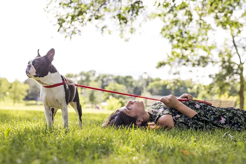 Is Rescuing A Dog Different Than Adoption At A Shelter​?